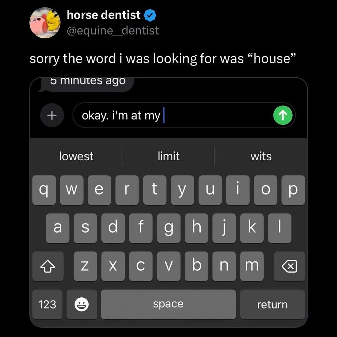 lmao when your brain glitches and you accidentally say 'my wits' instead of 'my house'
