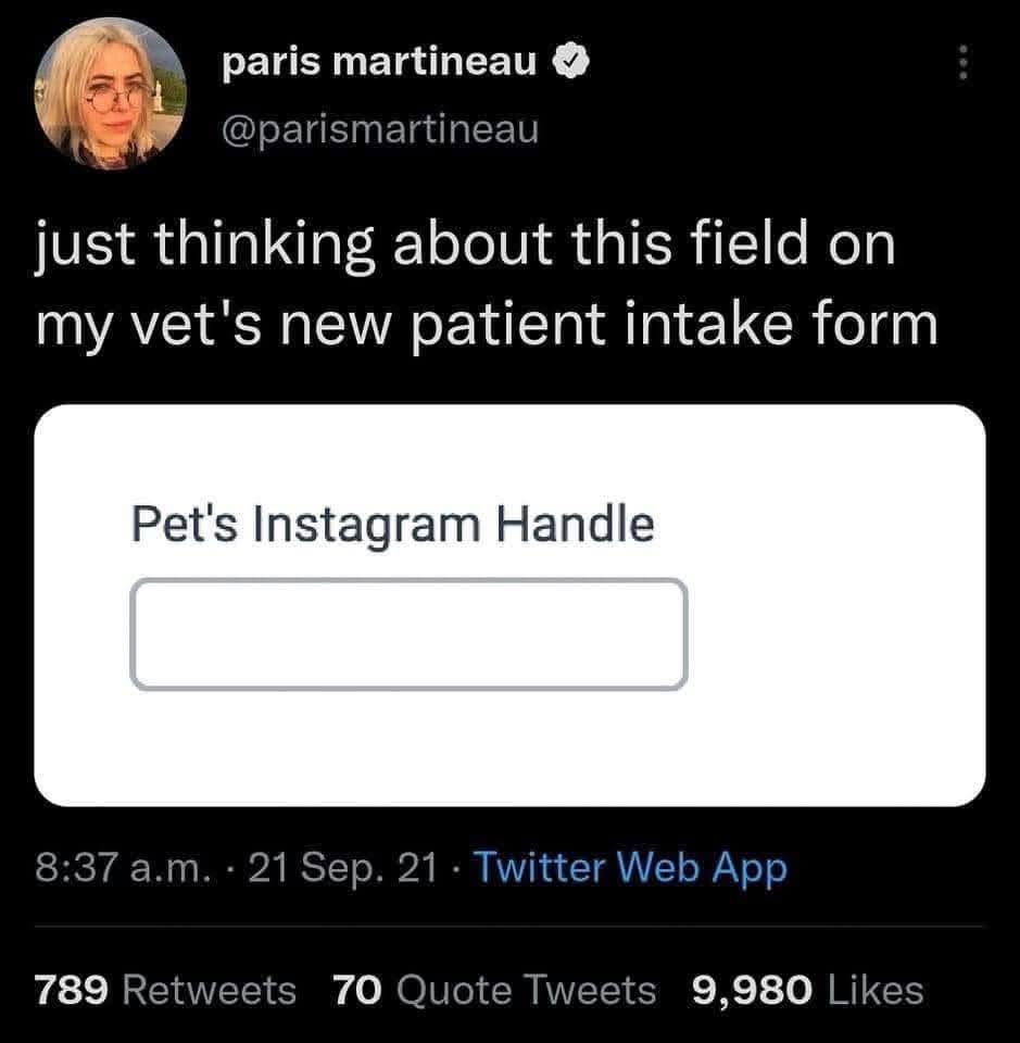 When the vet asks for your pet's Instagram handle and you realize they're more famous than you.