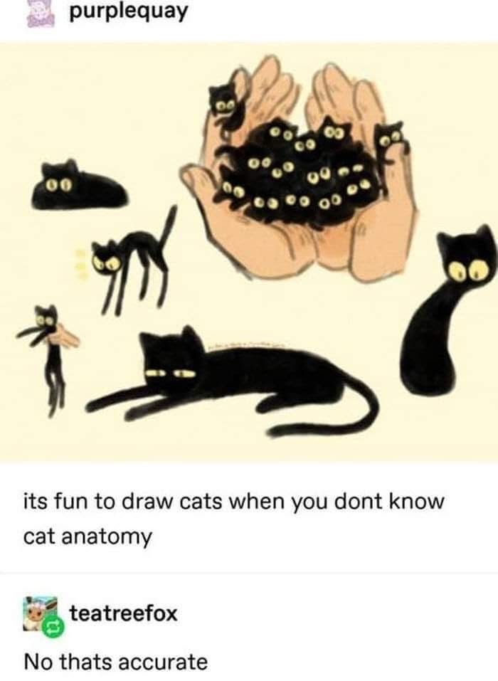 When you try to draw cats but cat anatomy is apparently a foreign concept