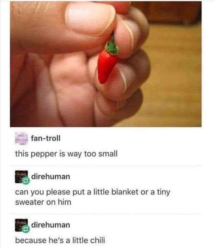This person tried to be funny about a tiny pepper but they weren't ready for the pun that was coming