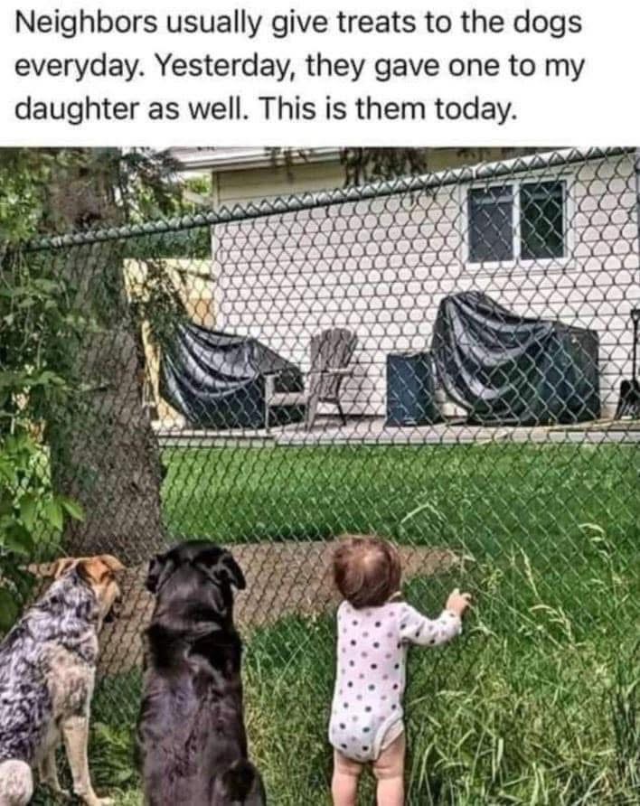 When the neighbors realize your kid is a better treat recipient than your dogs