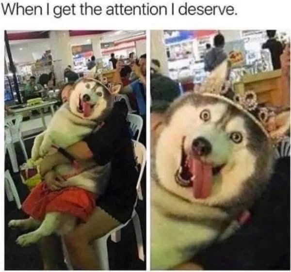 Me when I finally get the recognition I deserve.