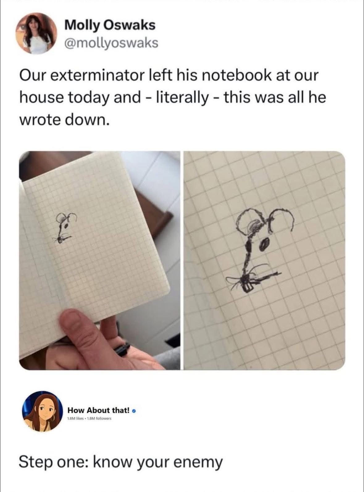 When the exterminator's entire strategy for dealing with pests is 'draw a rat'