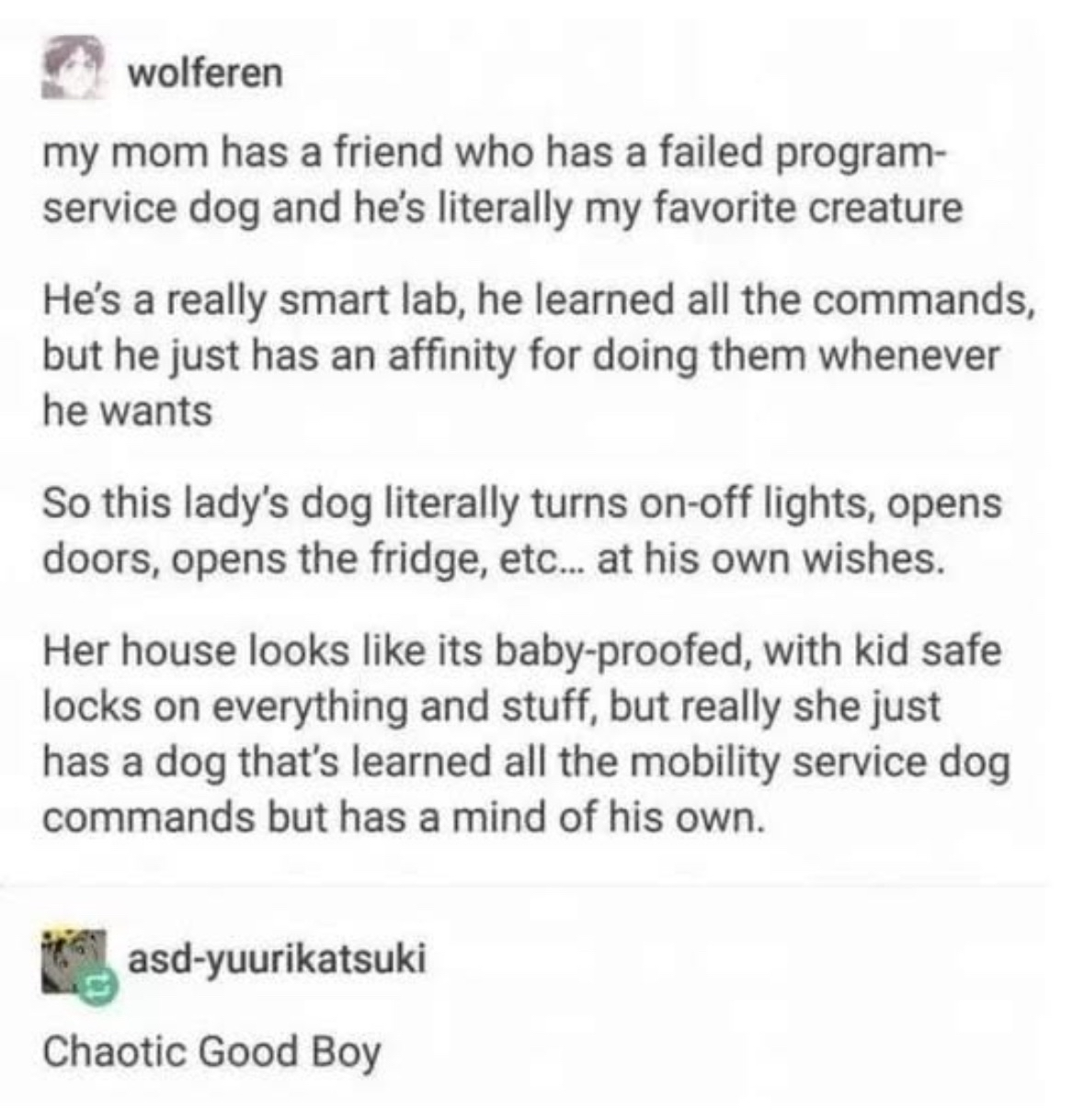 This dog learned all the service commands but uses them to do whatever he wants instead of what he's told.