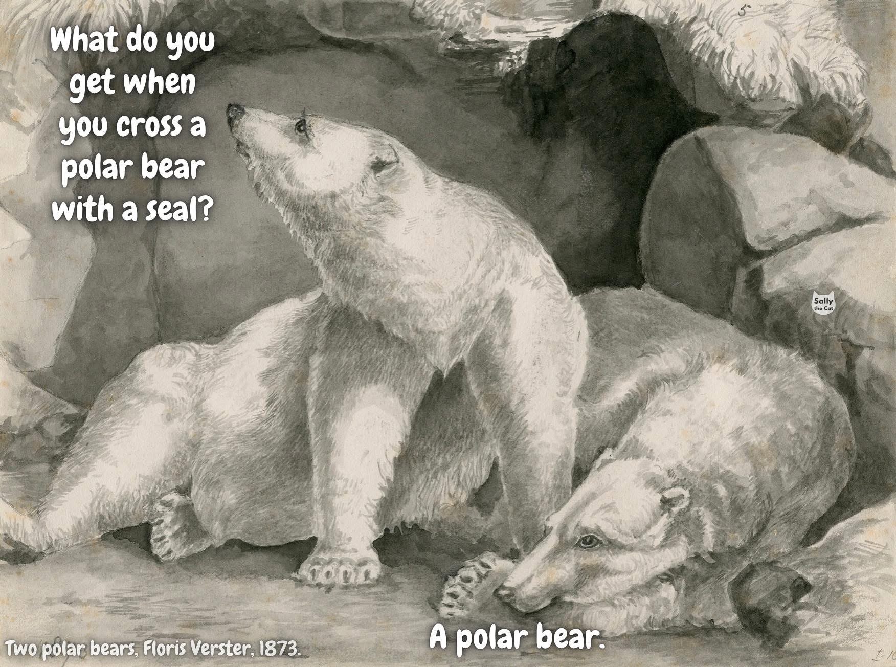 The punchline is just 'a polar bear'. It's so anticlimactic