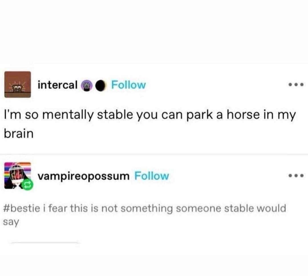When you try to brag about being mentally stable but it comes out sounding like you have a horse in your brain