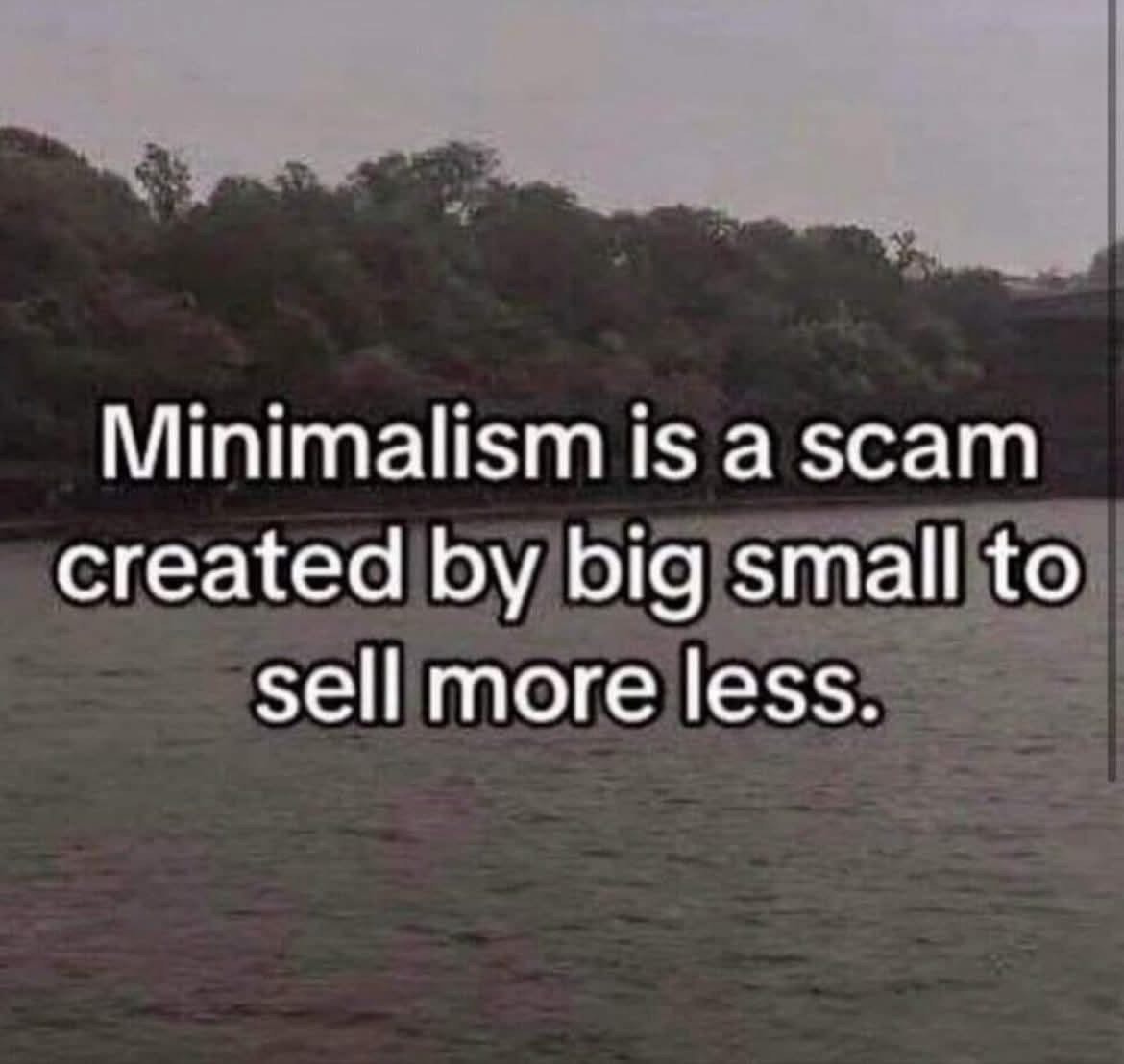 Minimalism is a scam created by big small to sell more less. This is too funny.