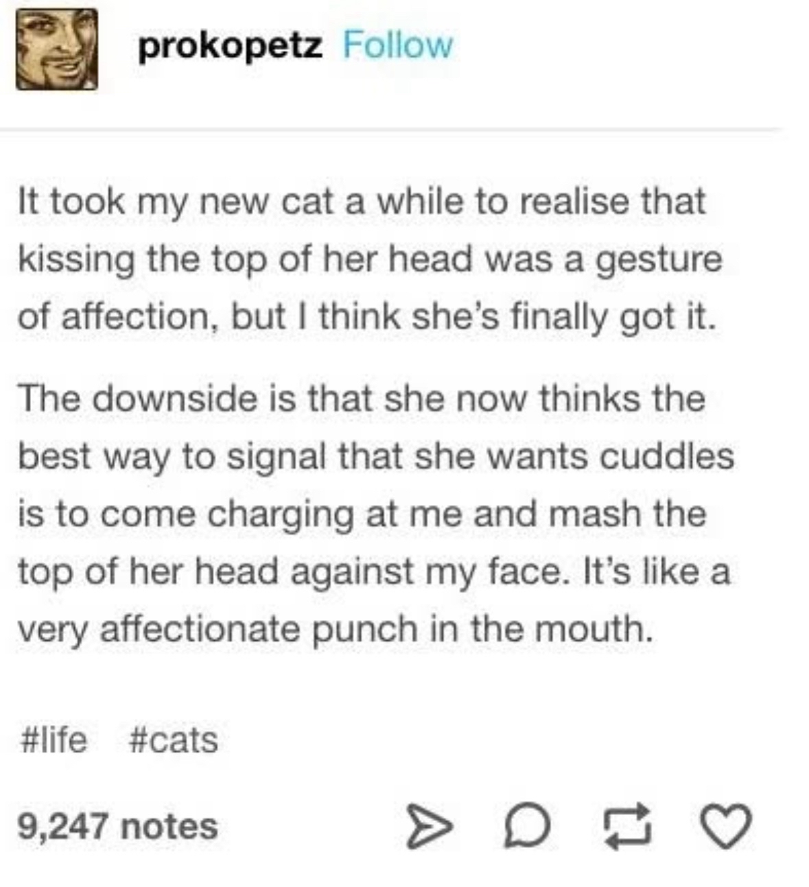 My cat thinks headbutting me is how she asks for cuddles, which is apparently a punch in the mouth.