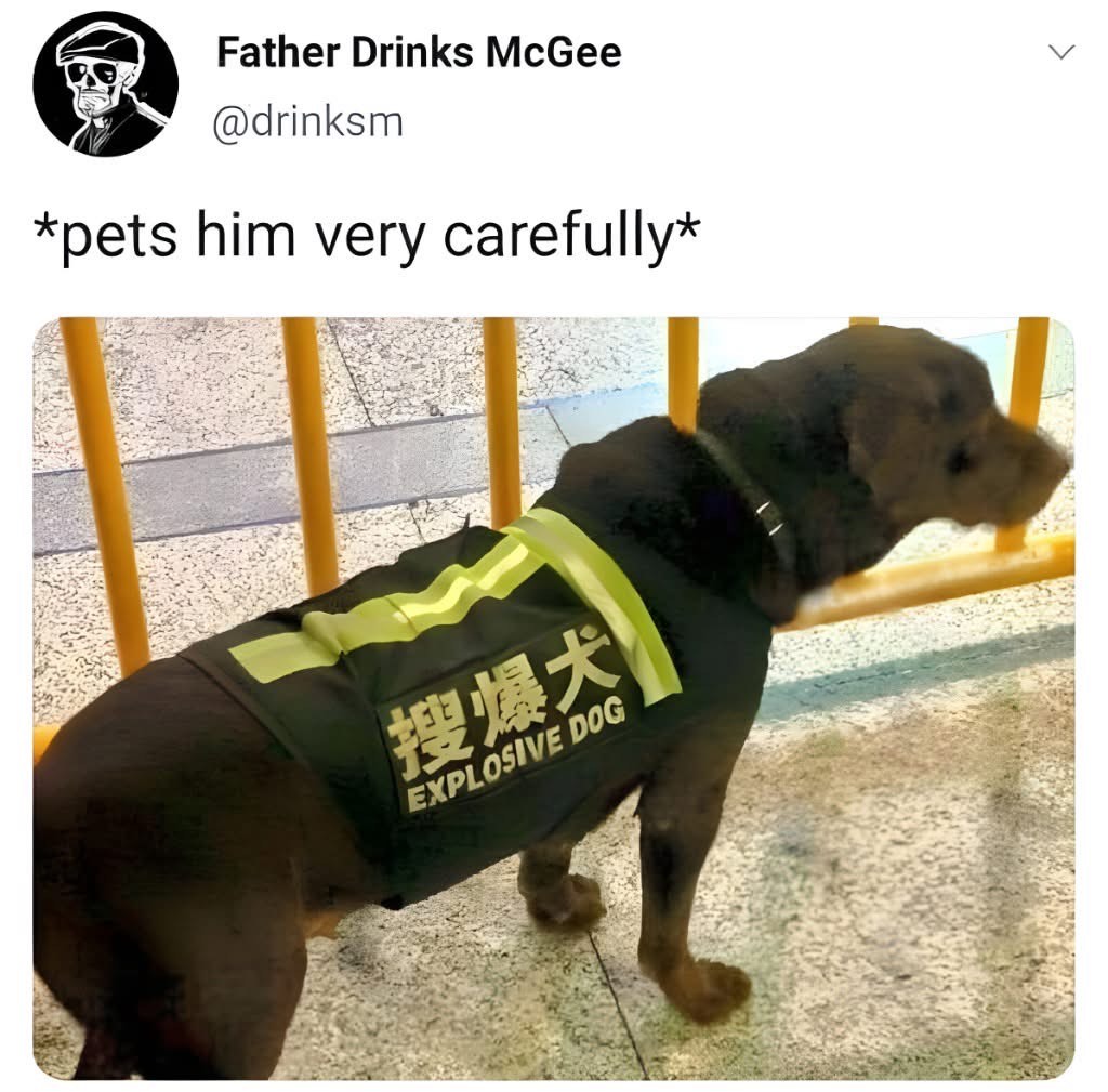 Me being overly cautious around a dog that's literally trained to find bombs