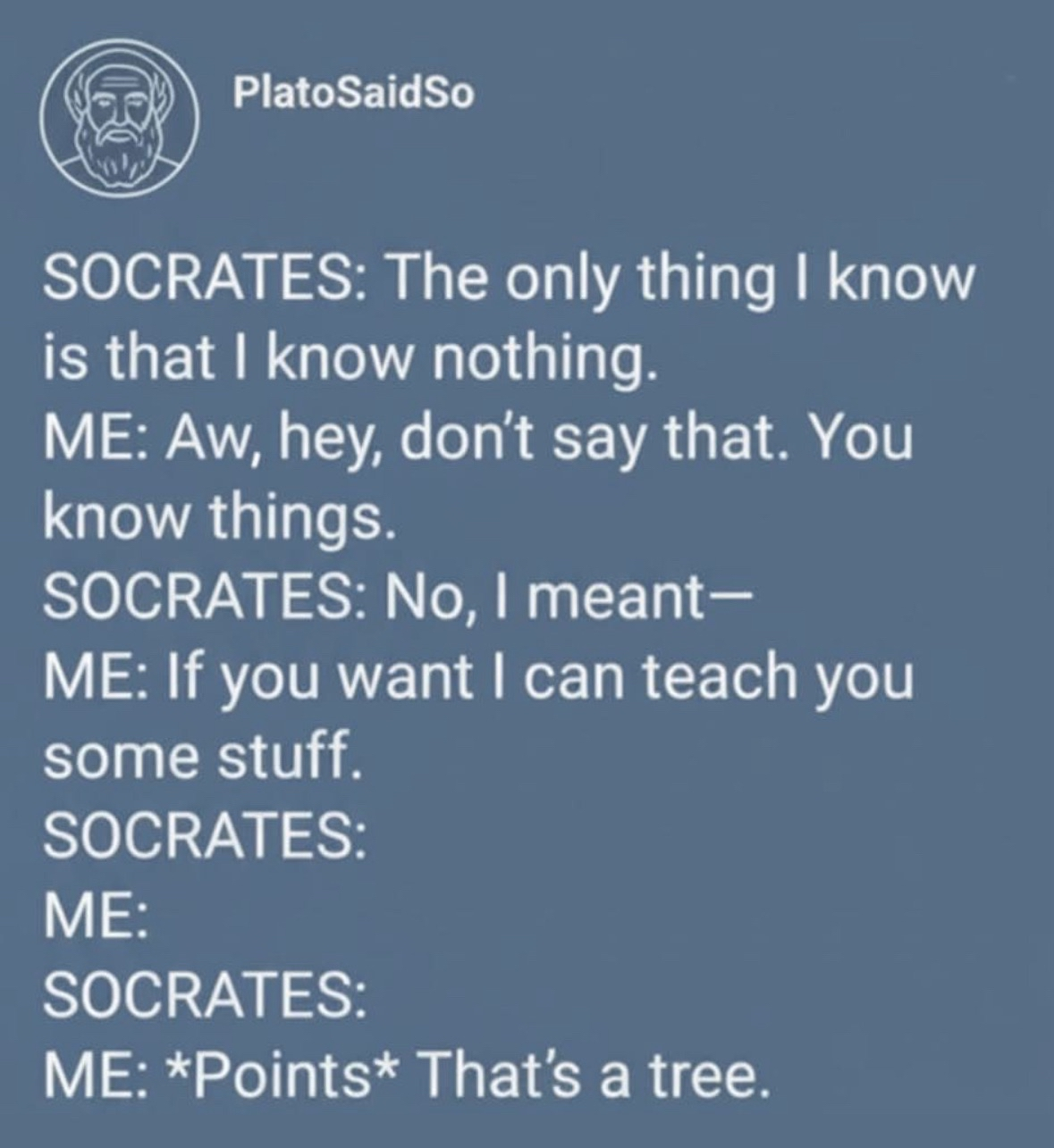 When you try to explain stuff to Socrates and he just ends up pointing out a tree