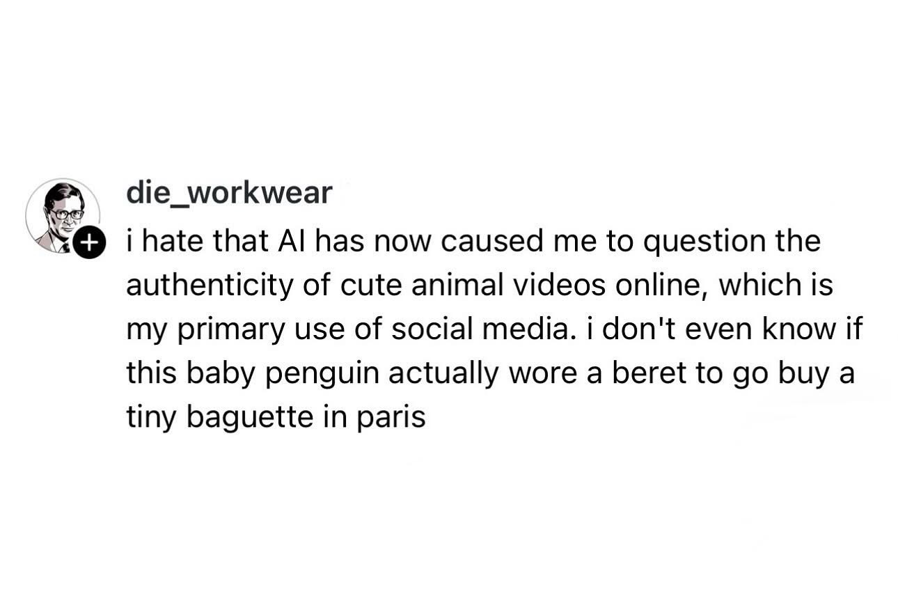 Me questioning if the cute animal videos I watch are even real anymore lol