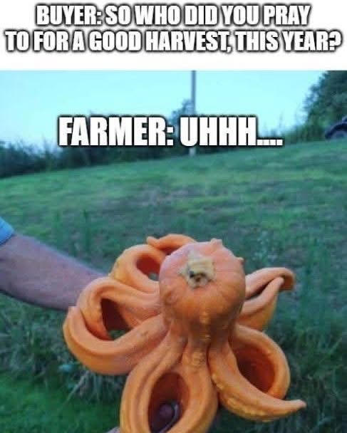 When you prayed for a good harvest but the squash looked like this