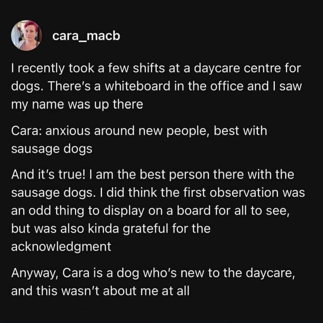 Thought my boss wrote a personal note about me, but it was just about a dog named Cara.