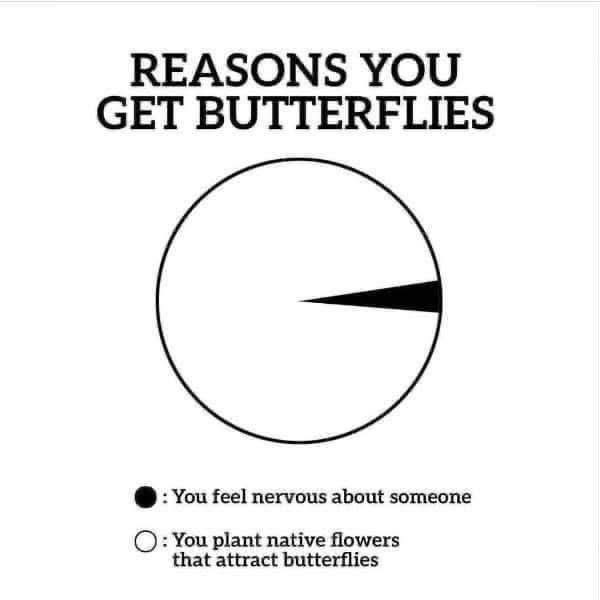 Me: *plants flowers*  Also me: OMG why do I have butterflies, did I actually just fall in love?