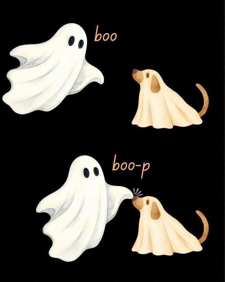 When you try to scare your dog but just end up booping him instead lol