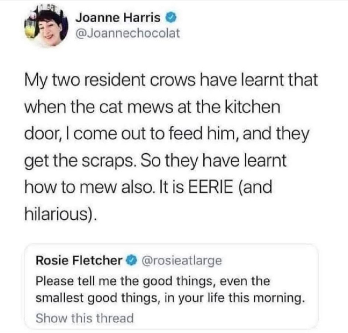 Crows learning to mew to get food is wild, but also kinda genius?