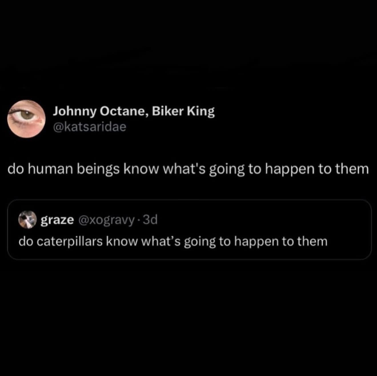 Someone asking if humans know their fate, and someone else replying with the caterpillar equivalent. The existential dread is real for all species.