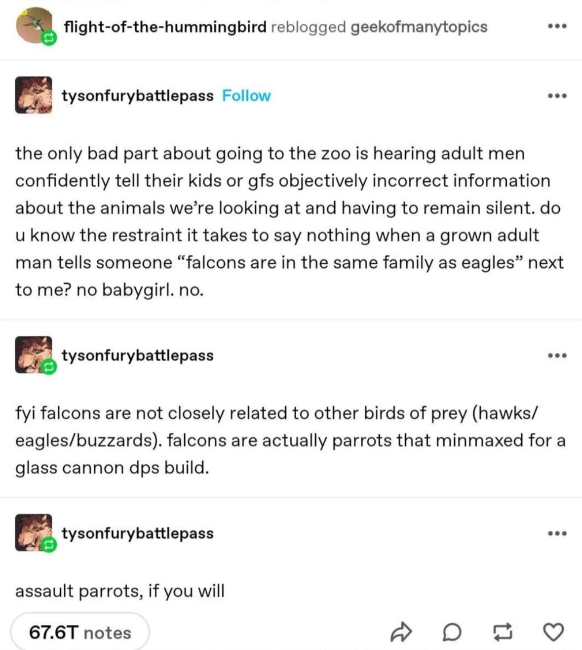 The zoo is rough when someone confidently mistakes a falcon for a parrot.