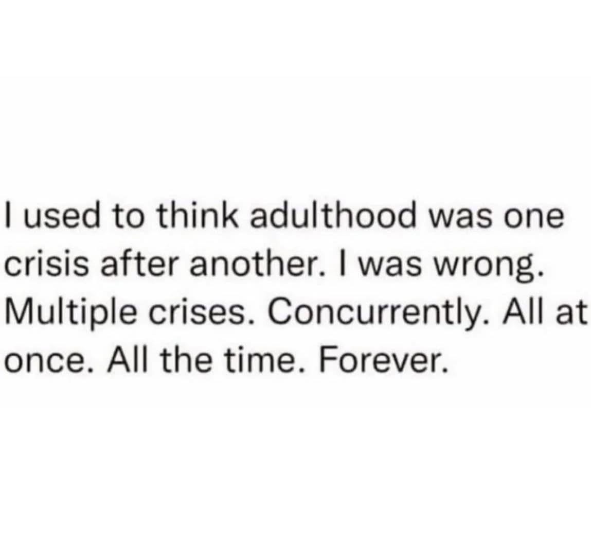 Me thinking adulthood would be like one problem at a time until realizing it's a non-stop crisis party. Oops.