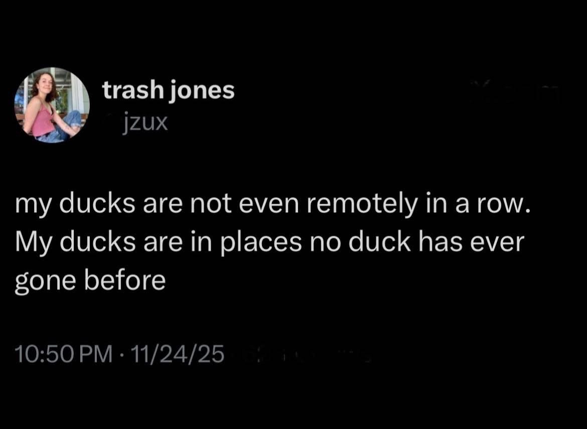 My life is chaos and my ducks are in places no duck has ever gone before.