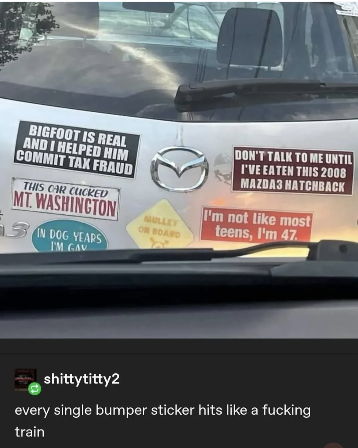 This car owner has the most chaotic collection of bumper stickers I've ever seen.