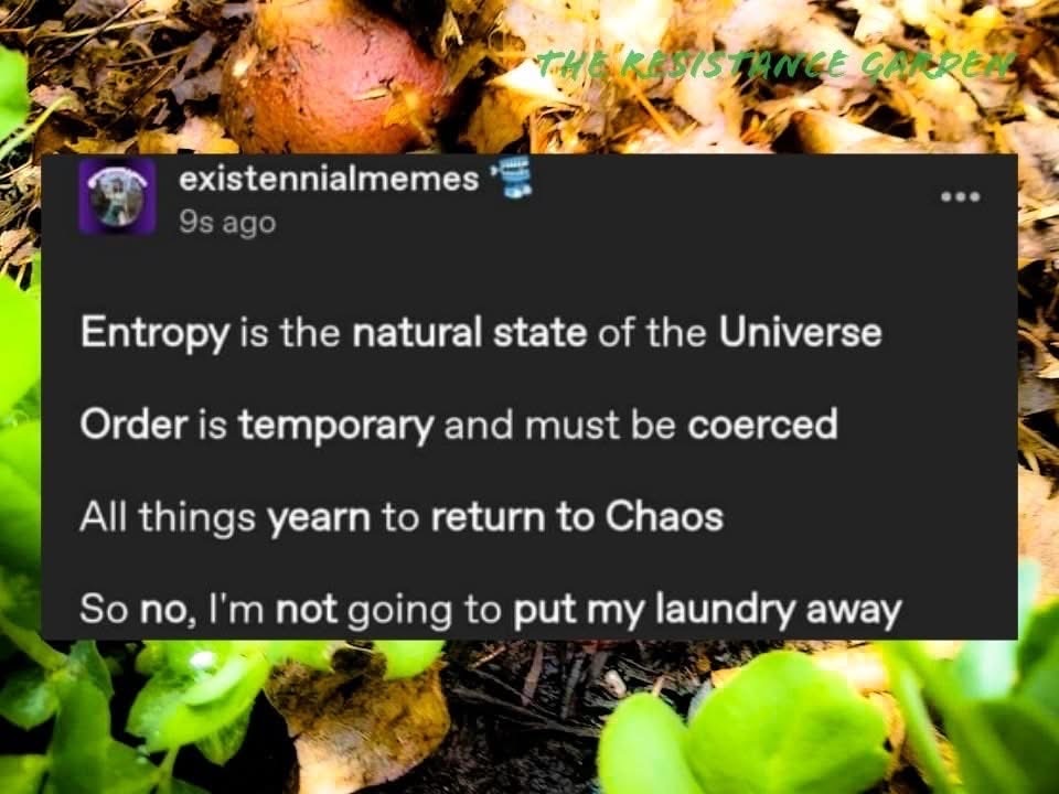 When you're trying to explain your messy room using science