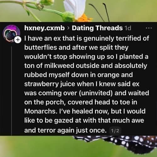 This story about using milkweed and juice to lure butterflies to scare your ex is peak chaotic energy
