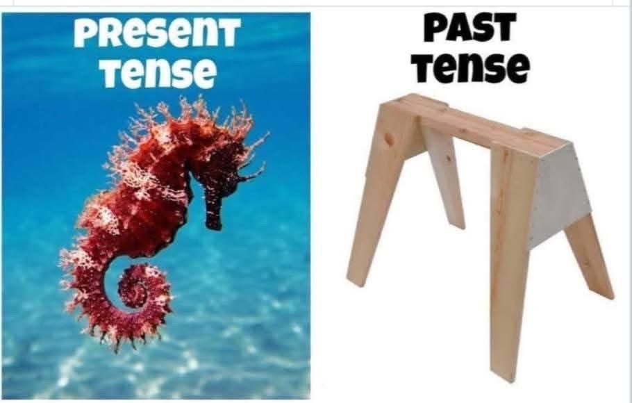 Ugh, these grammar jokes are really starting to grate. Present tense: a seahorse. Past tense: a sawhorse. Get it?