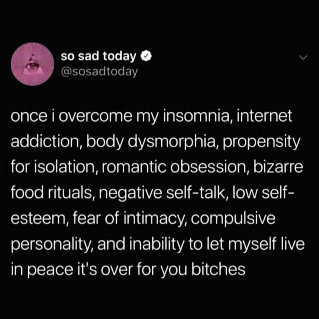 Me when I finally get my life together and become a menace to society