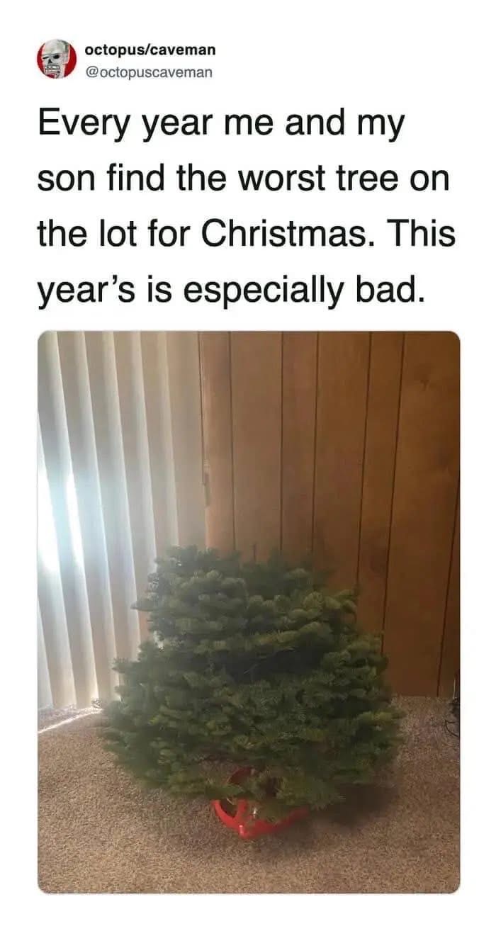 Me and my son have a tradition of finding the worst Christmas tree, and this year's pick is truly something else.