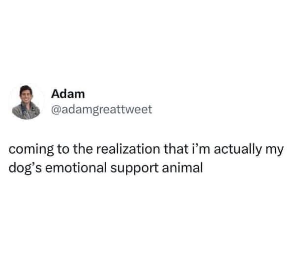 Wait, am I the dog's emotional support animal? Because same.