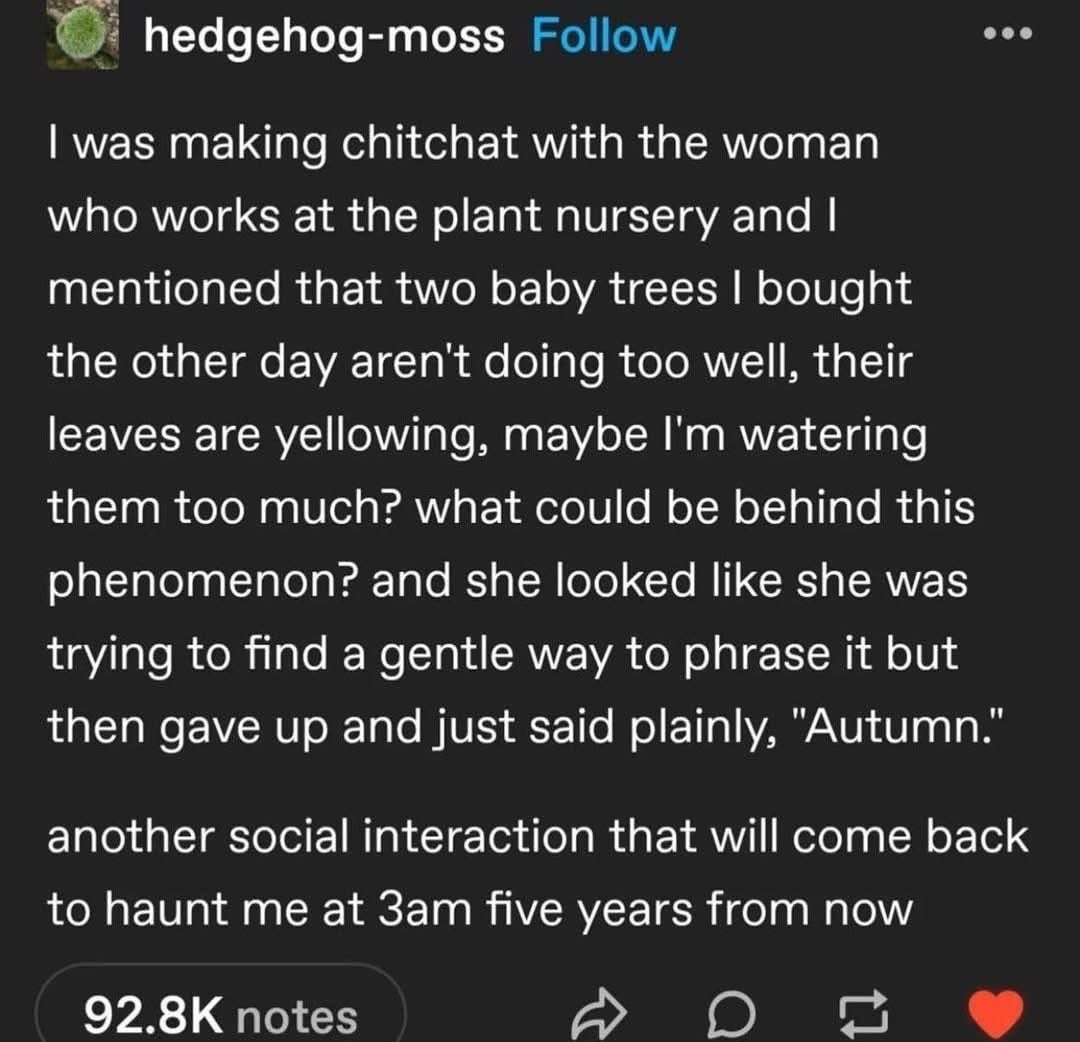 When you ask a plant expert why your trees are yellowing and she just says 'Autumn.' I'm gonna replay this convo forever