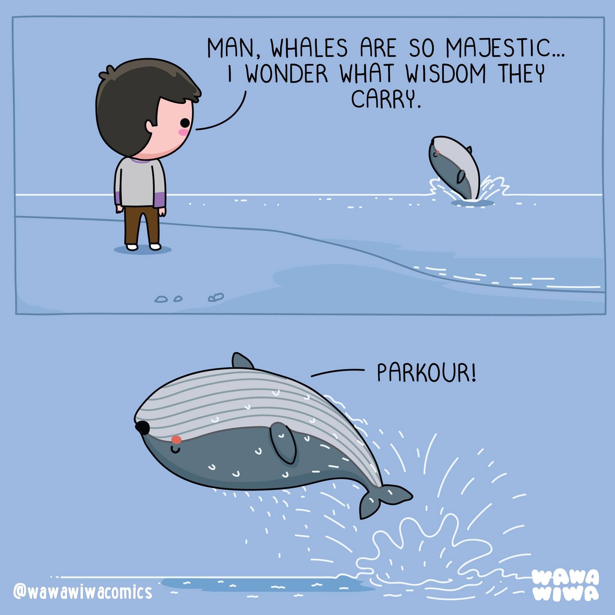 Who needs wisdom when you have parkour skills?