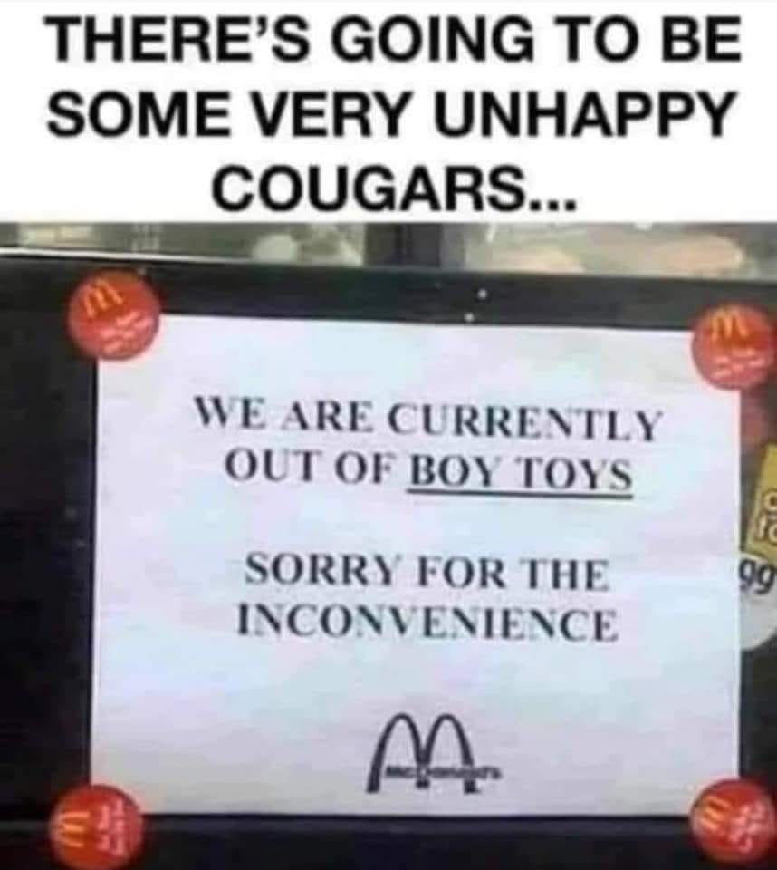 When McDonald's is out of boy toys and you're a cougar out for a Happy Meal.
