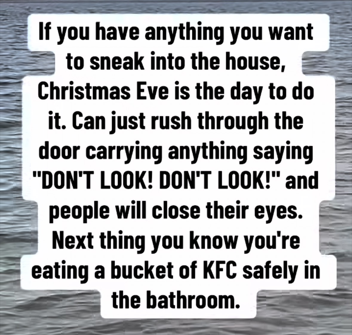 Christmas Eve is the ultimate stealth mission for sneaking forbidden snacks into the house lol