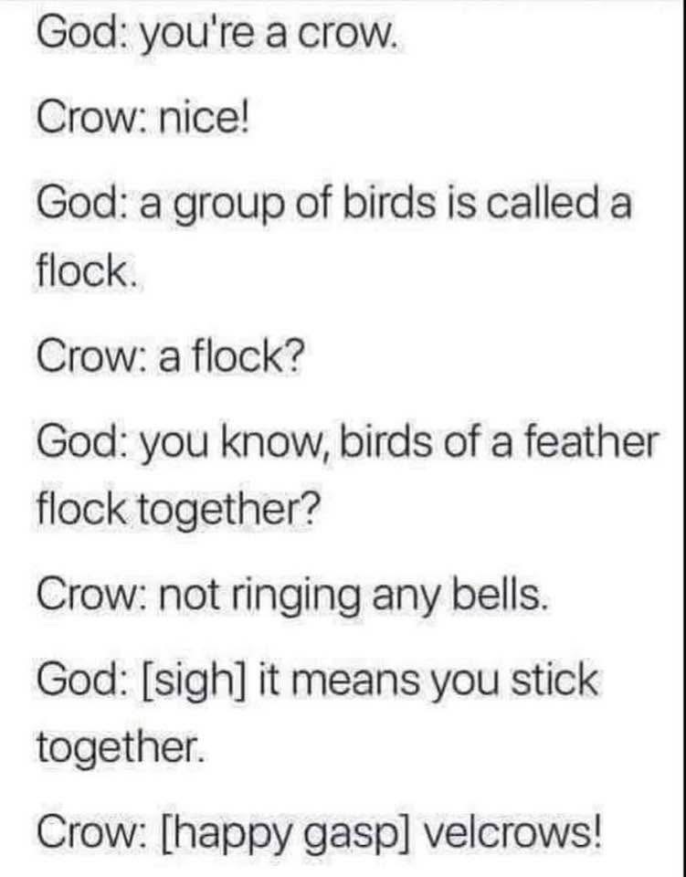 when god explains idioms and the crow misunderstands so much it invents a new word