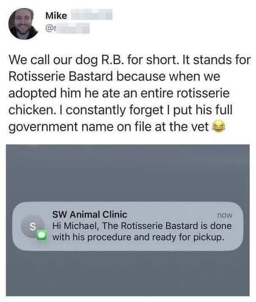Imagine naming your dog 'The Rotisserie Bastard' and then getting a text from the vet saying your dog is ready for pickup lol