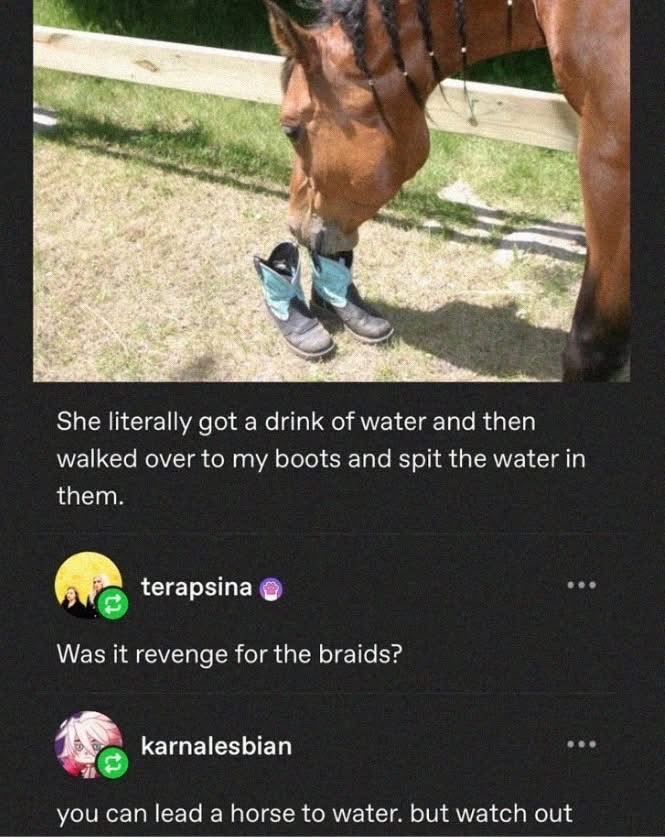 When the horse you braided decides to get petty and spit in your boots.