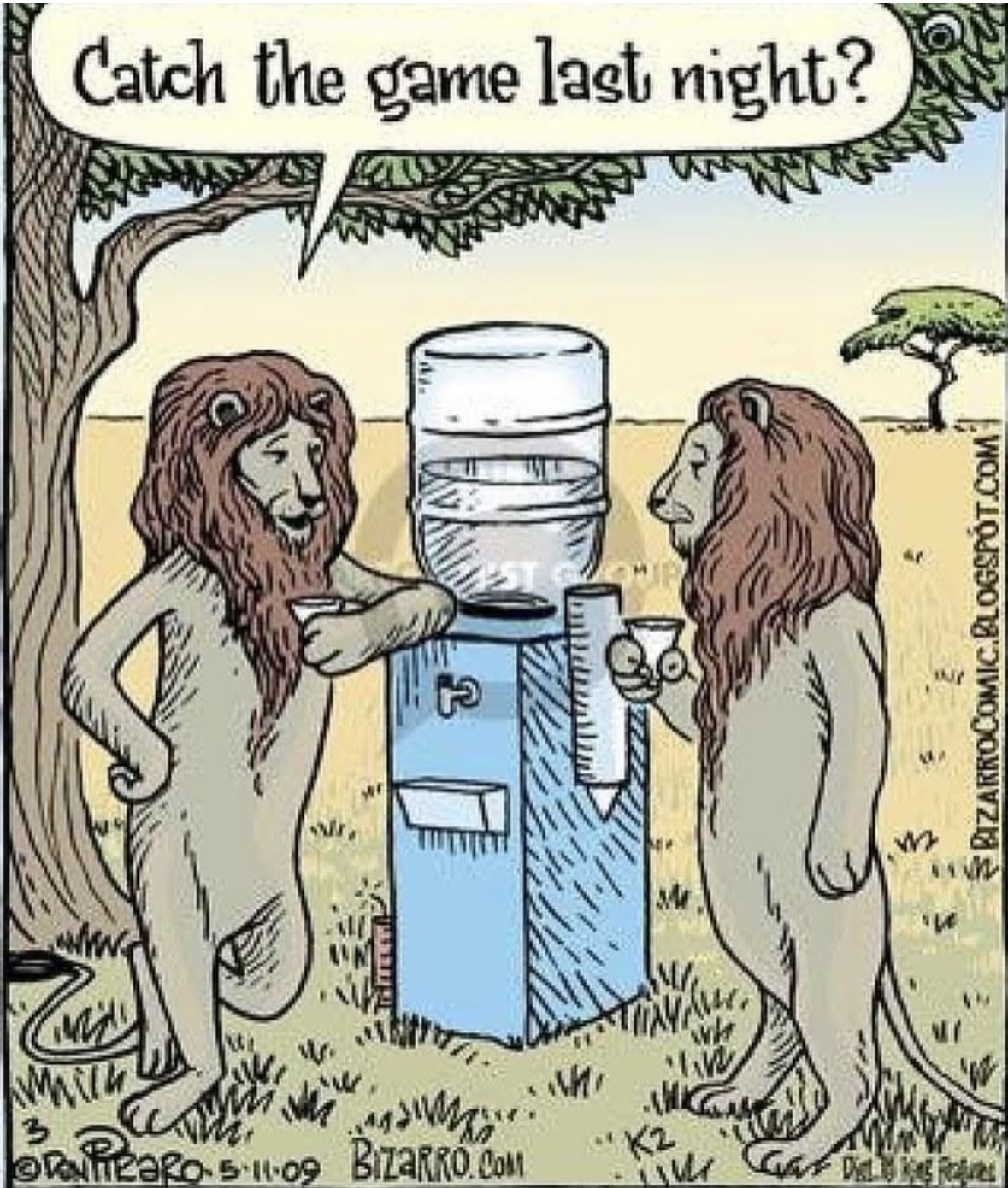 Is this what lions do at the water cooler?