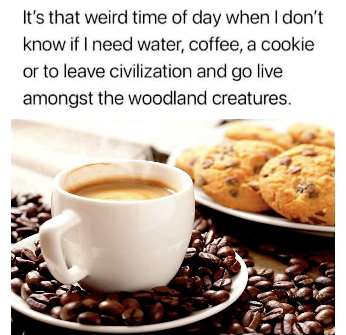Me at 3pm needing a snack, a coffee, or to just yeet myself into the wilderness