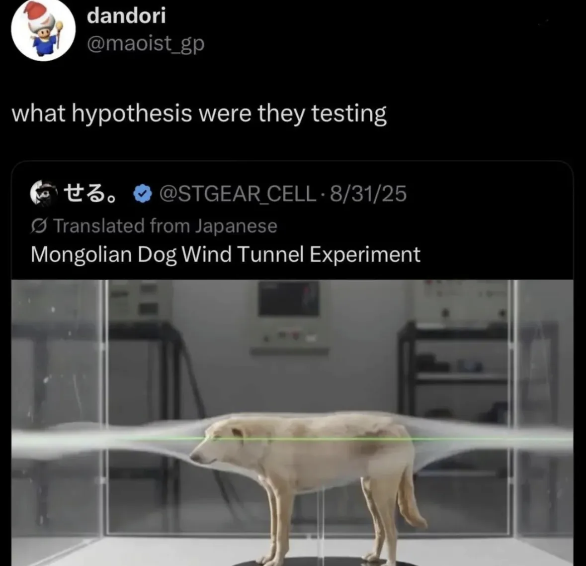 Lol they put a dog in a wind tunnel. I guess they were testing if it could stand up?