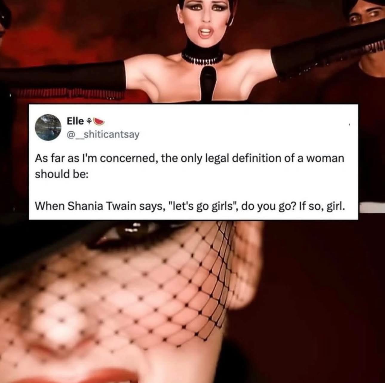 Okay this tweet about the legal definition of a woman based on Shania Twain is sending me