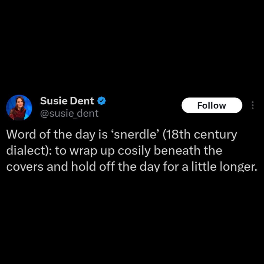 Me every morning when I discover the word 'snerdle' exists