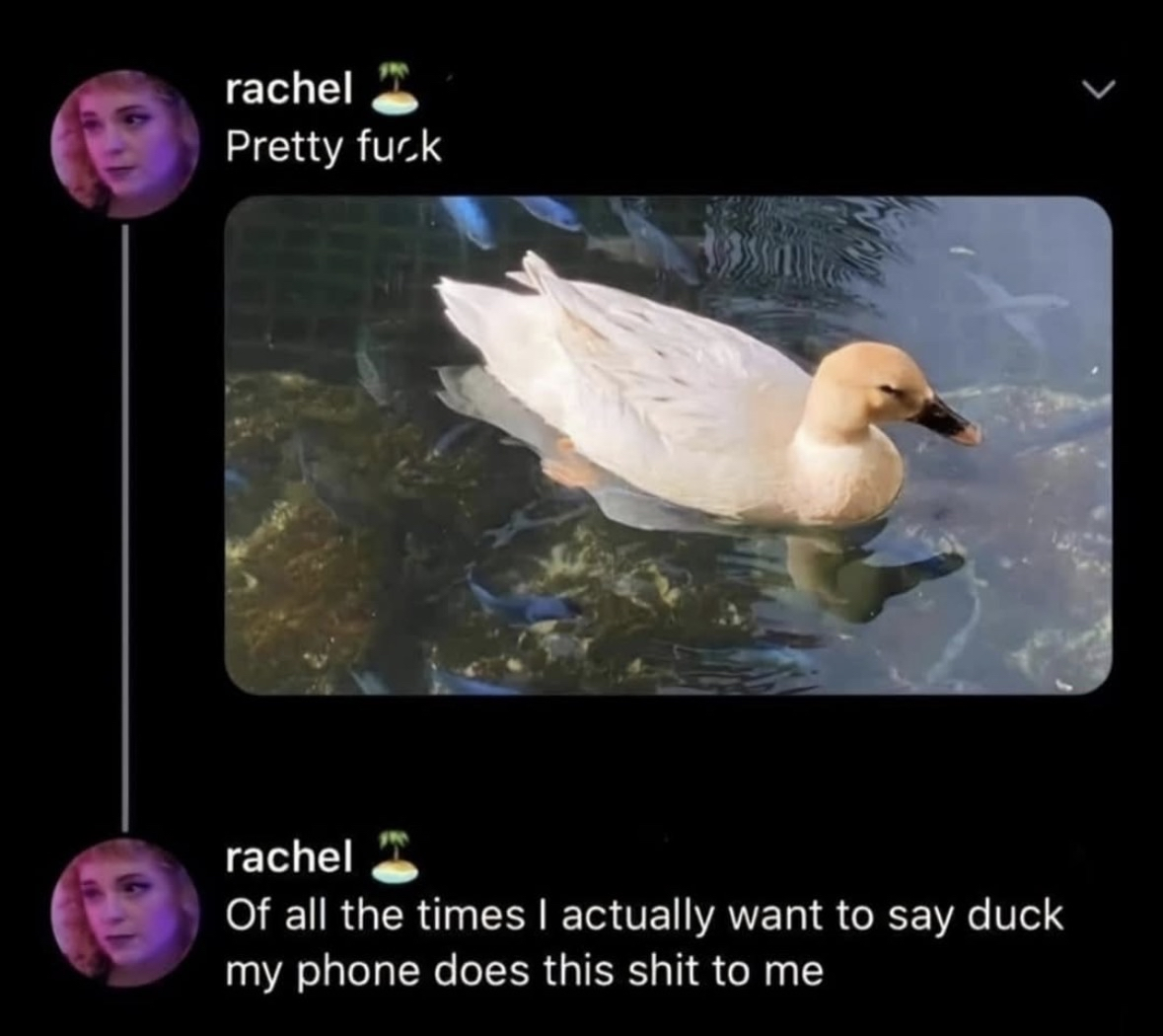 My phone autocorrecting me every single time I try to say the d-word, especially when there's an actual duck right there lol