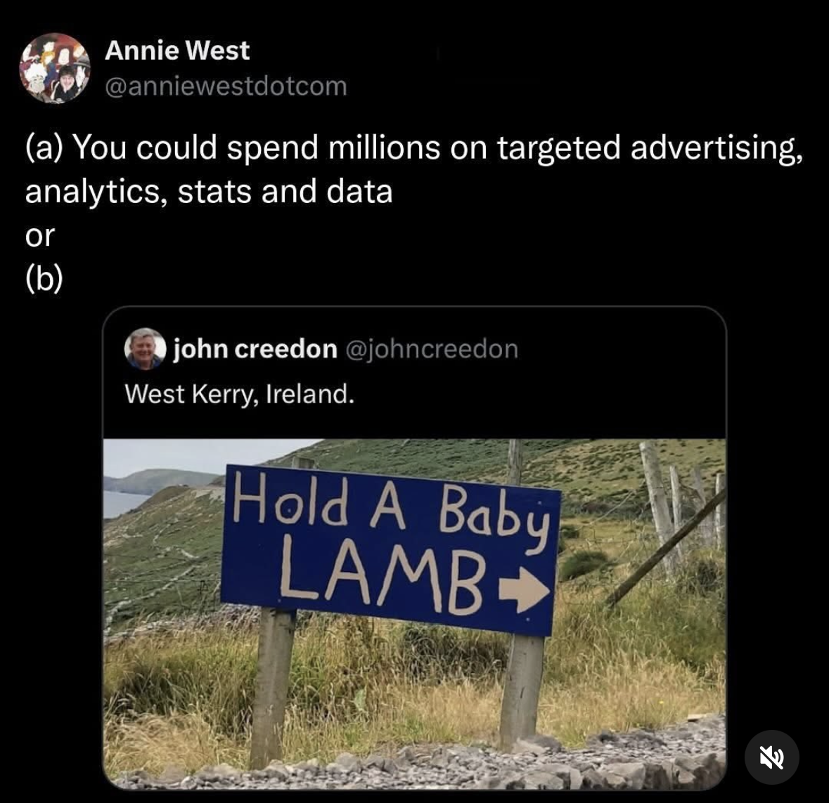 Targeted advertising vs. holding a baby lamb. Pretty sure I know which one is more effective.