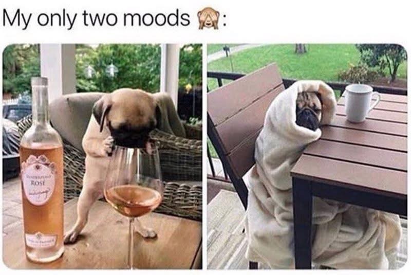 Me on Friday night vs. me on Saturday morning