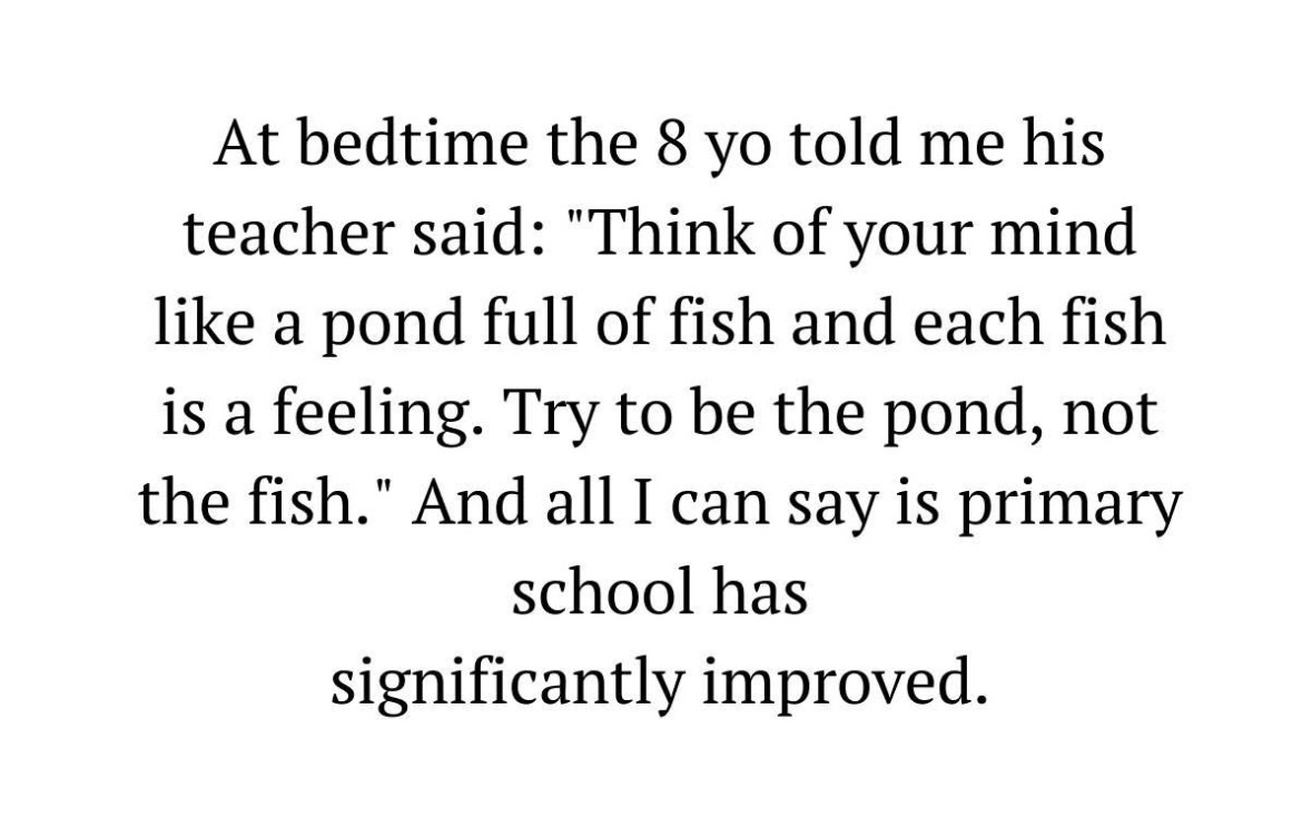 When your 8 year old explains emotional regulation better than most adults