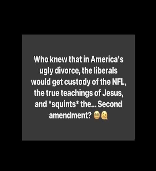 LOL, who knew liberals would get custody of the NFL, Jesus's 'true teachings', and the Second Amendment. This image is savage.