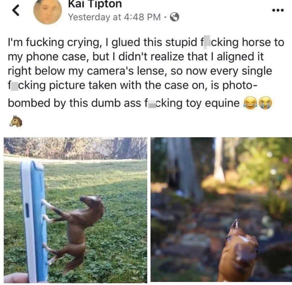 OMG, I glued a toy horse to my phone case and now every photo is photobombed by it. This is too much.