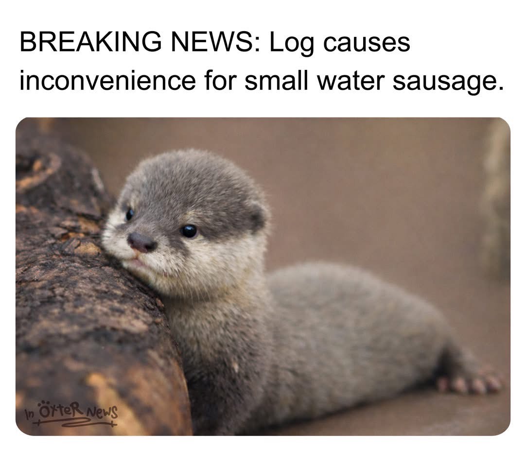 Breaking news: baby otter having a slight inconvenience from a log